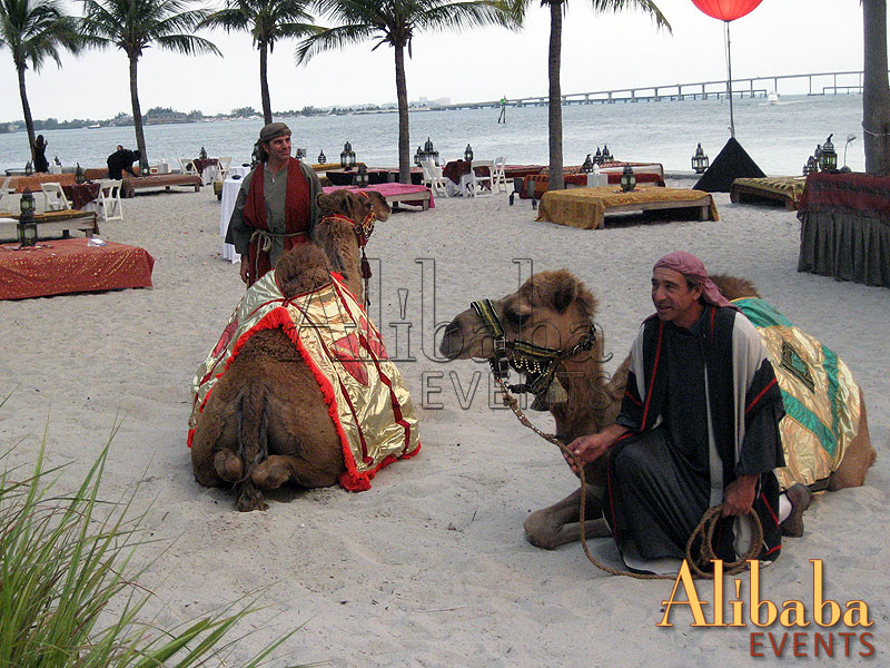 Live Camels: Mandarin Oriental