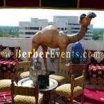 corporate Moroccan Themed Party