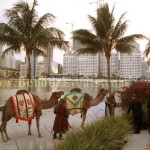 moroccan themed gala dinner