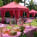 Hot Pink Princess Party