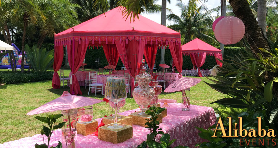 Hot Pink Princess Party