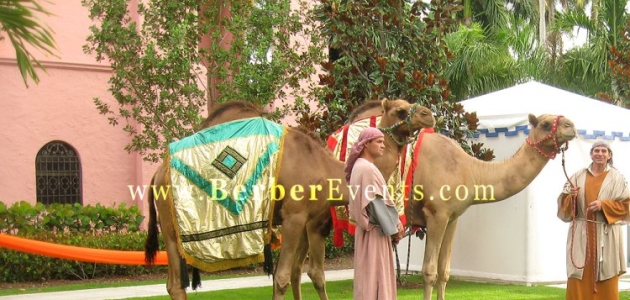 Moroccan Theme Party Ideas: Live Camels as Greeters